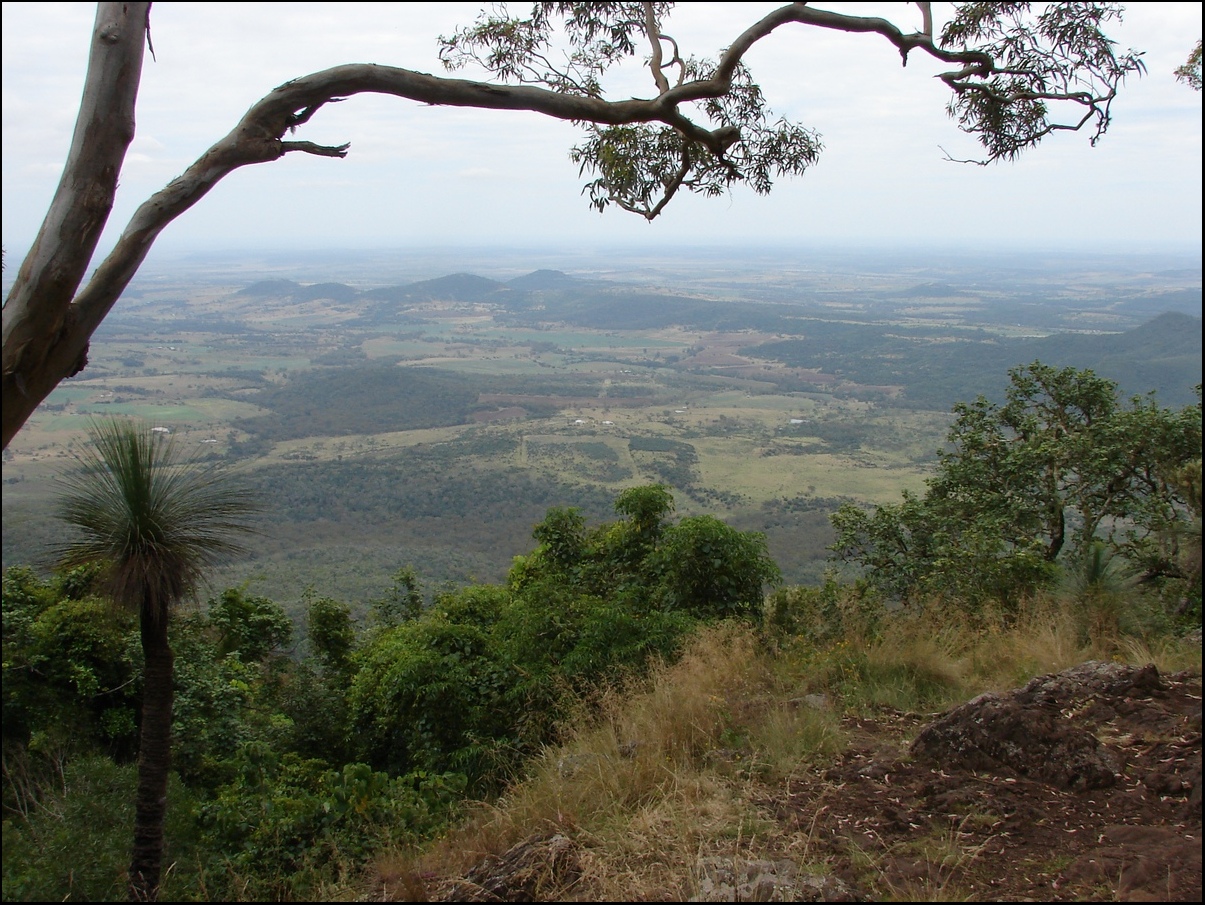 Bunya Mountains