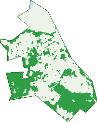 Where the trees are in Taranganba