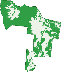 Where the trees are in Waugh Pocket