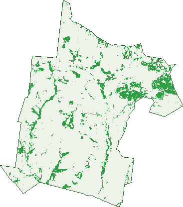 Where the trees are in Lowestoff
