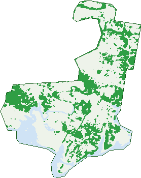 Where the trees are in Glenfern