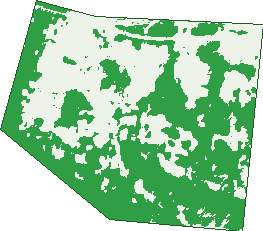 Where the trees are in Cosgrove
