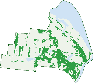 Where the trees are in Mcewens Beach