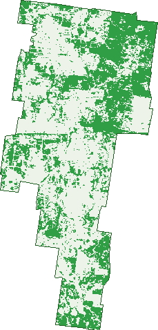 Where the trees are in Nebine