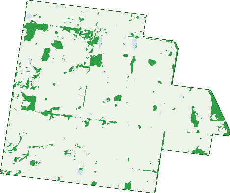 Where the trees are in Chelmsford