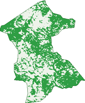 Where the trees are in Barlyne