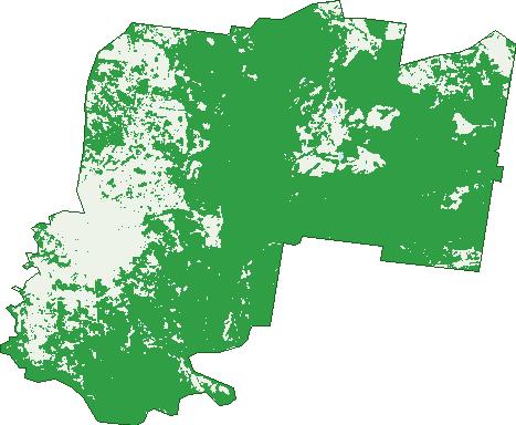 Where the trees are in Nundubbermere