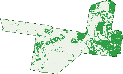 Where the trees are in Forest Springs