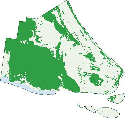 Where the trees are in Thompson Point