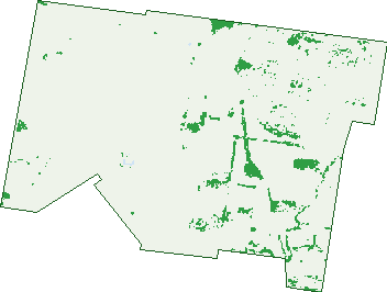 Where the trees are in Kelvinhaugh
