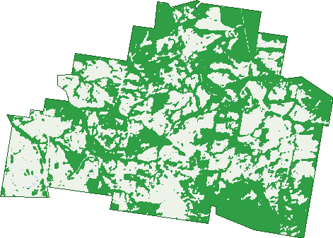 Where the trees are in Traveston