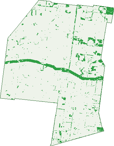 Where the trees are in Weengallon