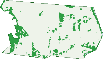 Where the trees are in Mundoo