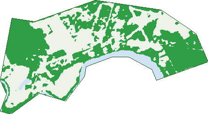 Where the trees are in Dundathu