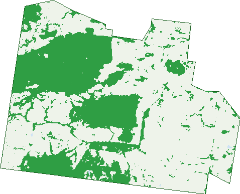 Where the trees are in Mp Creek