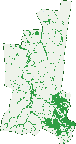 Where the trees are in Clifford