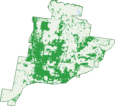 Where the trees are in Rosenthal Heights