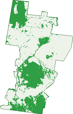 Where the trees are in Sandy Ridges