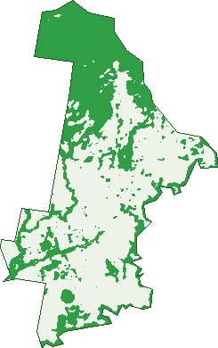 Where the trees are in Cedarton