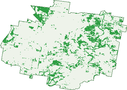 Where the trees are in Oakwood
