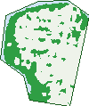 Where the trees are in Basin Pocket