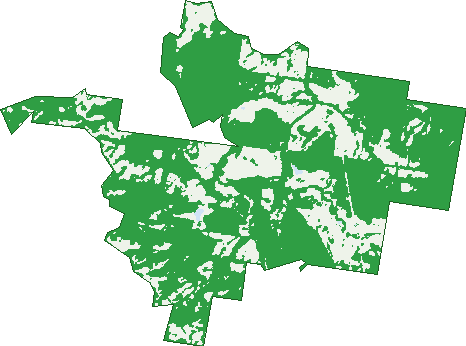 Where the trees are in Tandur