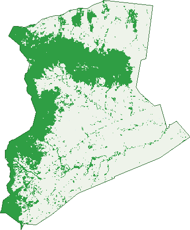 Where the trees are in Mount Hutton