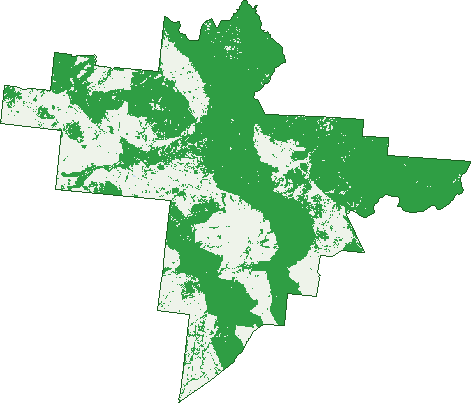 Where the trees are in Caldervale