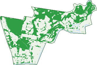 Where the trees are in Coomera