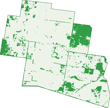 Where the trees are in Cameby