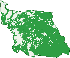 Where the trees are in Ninderry
