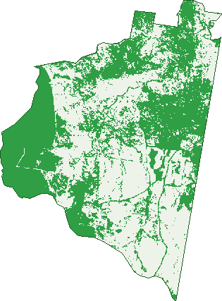 Where the trees are in Palgrave