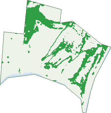 Where the trees are in Tully Heads