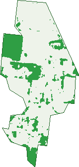 Where the trees are in Goondi Bend