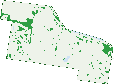 Where the trees are in Pialba