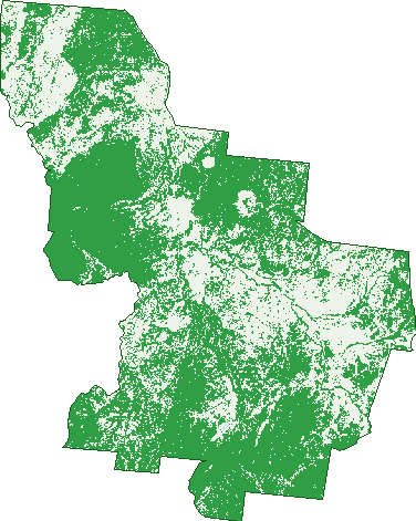 Where the trees are in Einasleigh