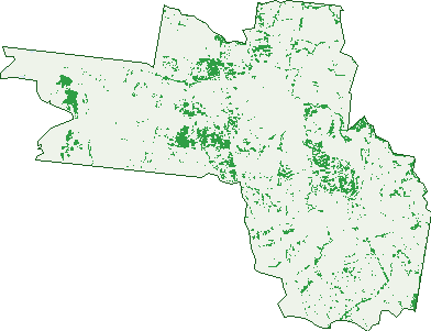 Where the trees are in Johnstown