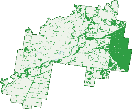 Where the trees are in Condamine
