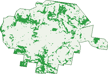Where the trees are in Plainby