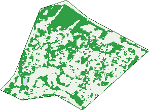 Where the trees are in Giralang