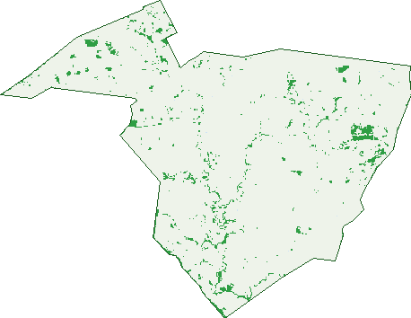 Where the trees are in Cornwall