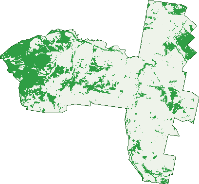 Where the trees are in Djuan