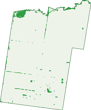 Where the trees are in Langlands