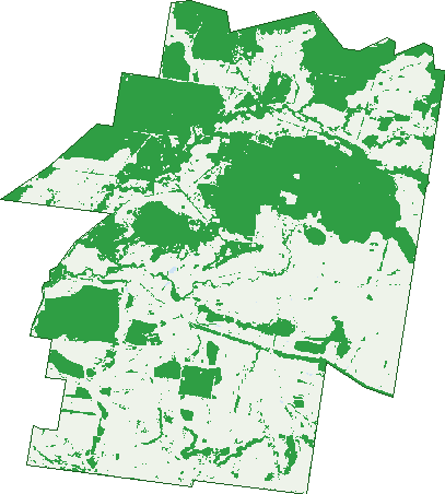 Where the trees are in Bogandilla