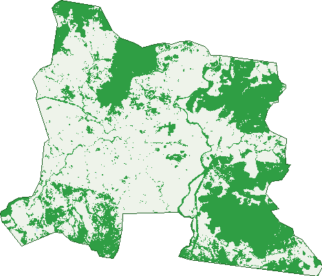 Where the trees are in Sujeewong