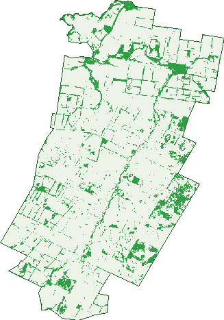 Where the trees are in Meandarra