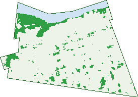 Where the trees are in Bundaberg West