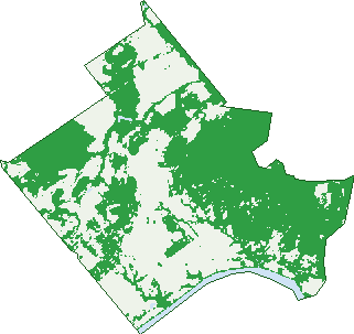 Where the trees are in Delan