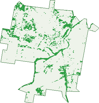 Where the trees are in Toogoolawah