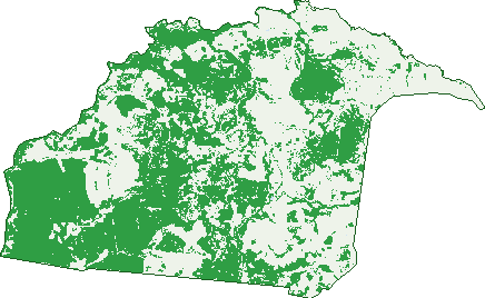 Where the trees are in Eaglefield